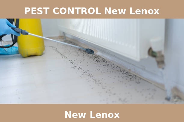 PEST CONTROL New Lenox